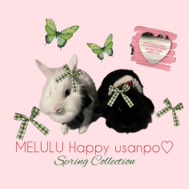 MELULU Happy usanpo♡