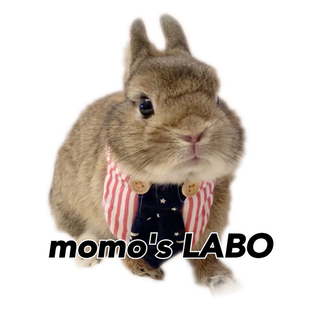 momo's LABO