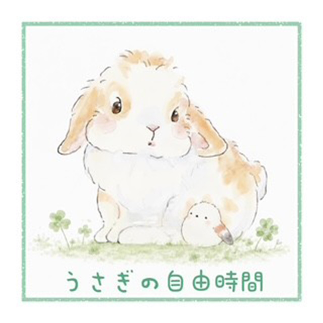 うさぎの自由時間