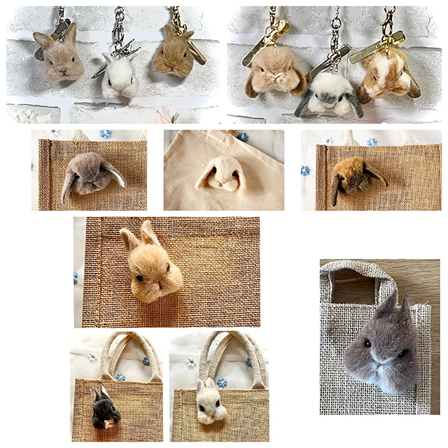 lapin lunaire